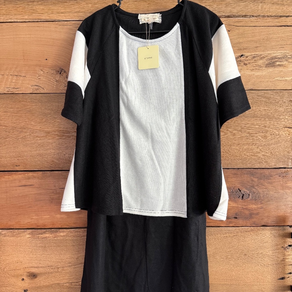 NWT!  A'reve two-piece, sweater Dress.  Black & Cream color Block ~ Size Medium